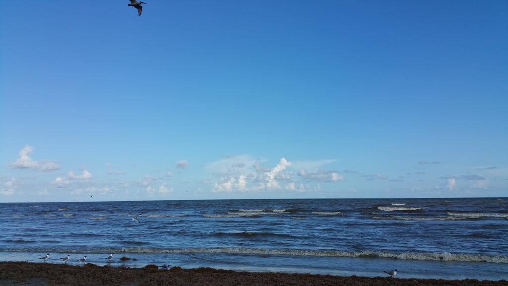 Private Beach -- Away From The Crowds - Ocean Views -Short Drive To Moody Gardens, Schlitter Bahn, Pleasure Pier Galveston Exterior foto