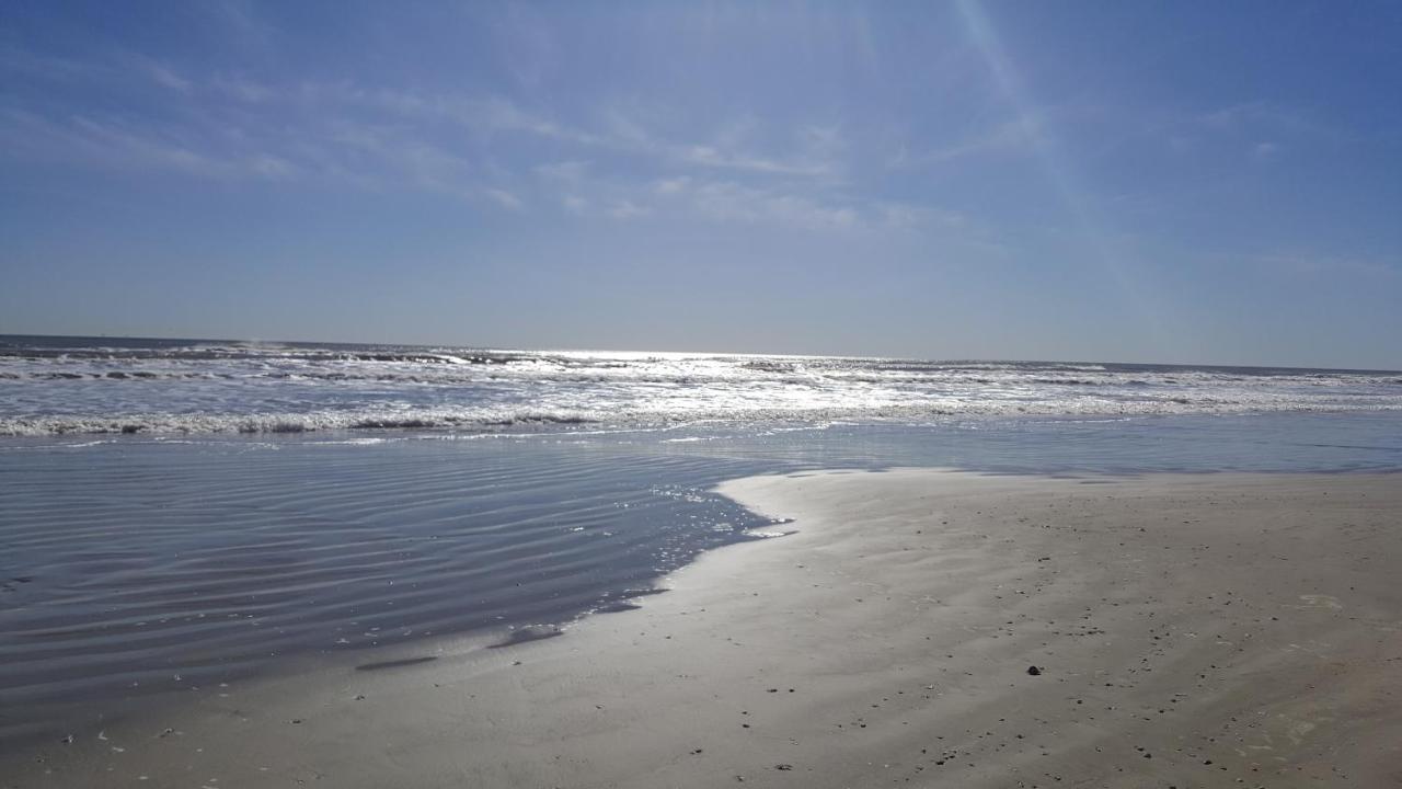 Private Beach -- Away From The Crowds - Ocean Views -Short Drive To Moody Gardens, Schlitter Bahn, Pleasure Pier Galveston Exterior foto